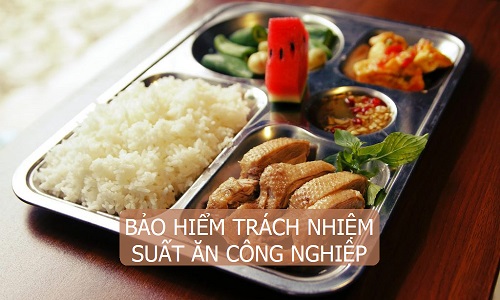 Bao Hiem Suat An Cong Nghiep 3012s