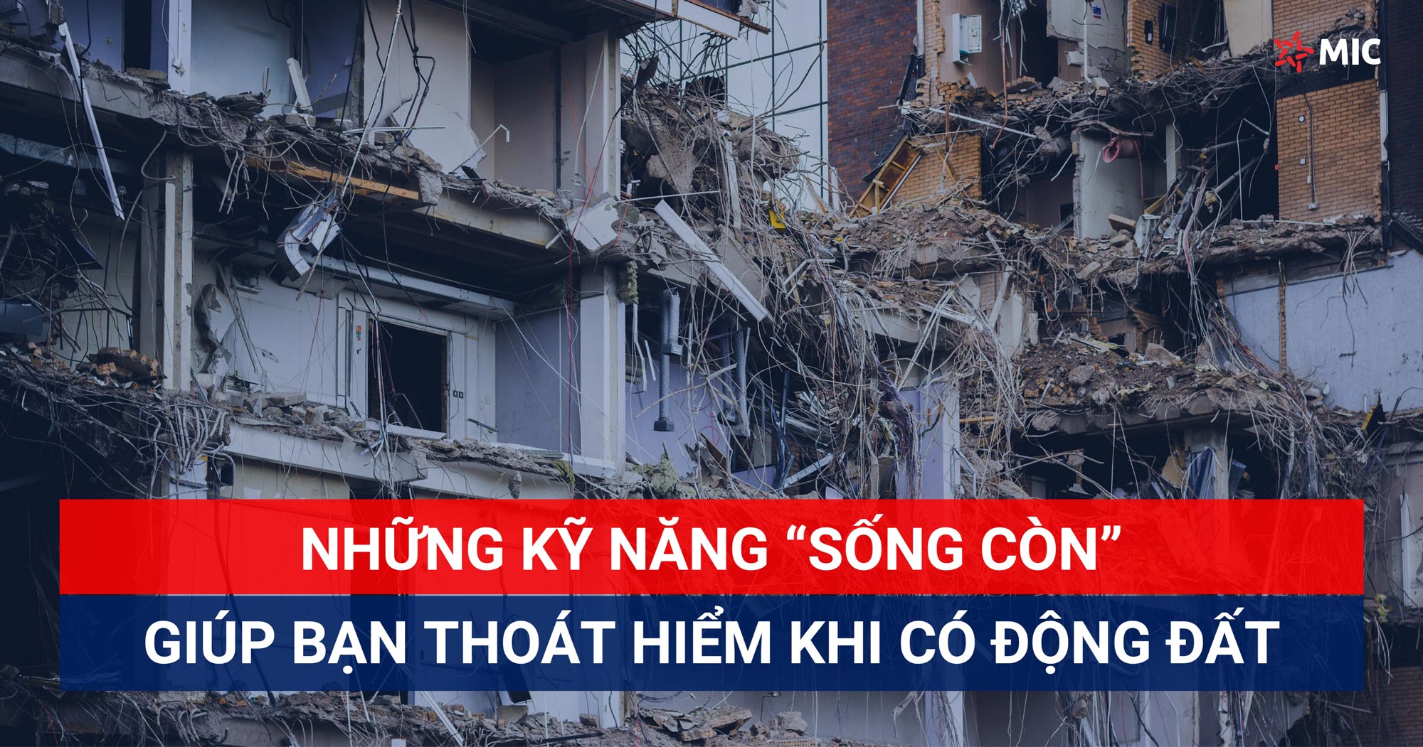 4958dc12 65b2 425a A7c6 D142e6b5c140