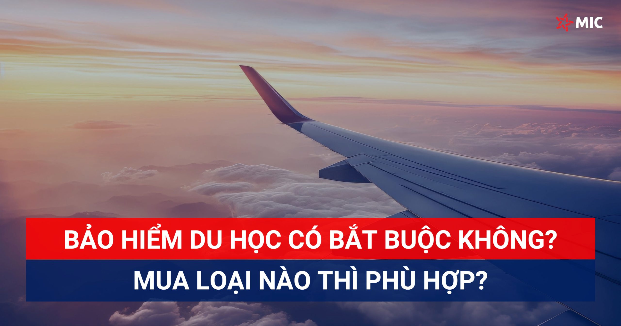 C6c8e809 Af6d 4573 8659 Fa5a27f20ce8