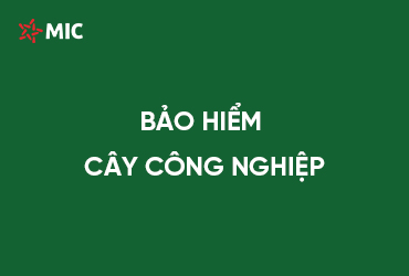 Bảo Hiểm Cây Công Nghiệp